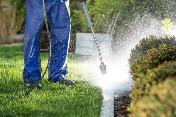 Curb Cleaning in Lehi