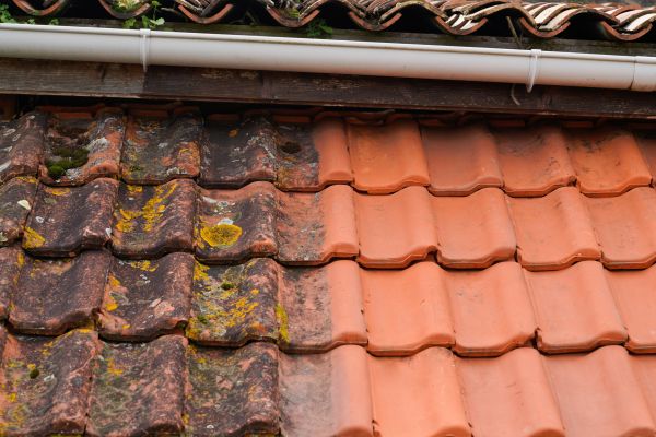 Industrial Roof Cleaning in Lehi