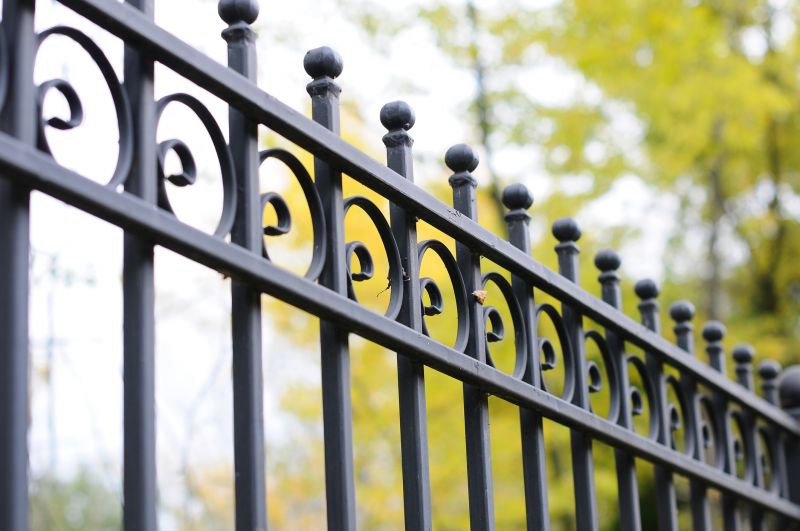 Wrought Iron Fence Washing